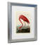 John James Audubon, art encadré mat «American Flamingo»-2041399806-2041399777