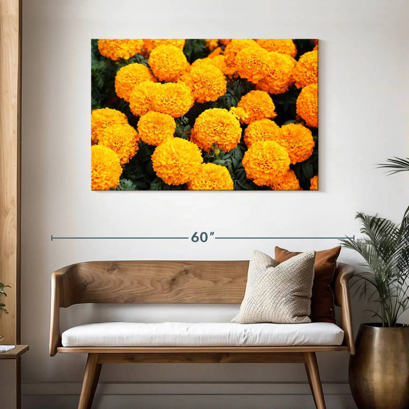 Harnek Mexican Marigold Flowers