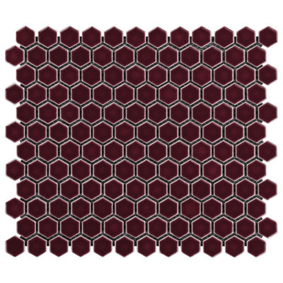Eden 2.0 Rimmed 1" Hexagon Polished Porcelain Mosaic Tile