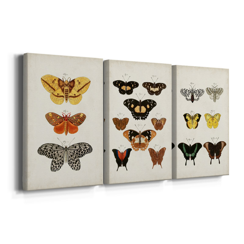 Papillons rétro IV - Toile tendue avec châssis sur mesure - 3 pièces