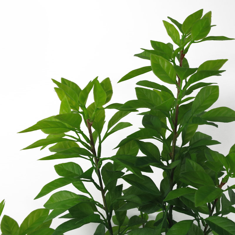 Anlin 80cm Faux Ficus Tree in Pot, Green