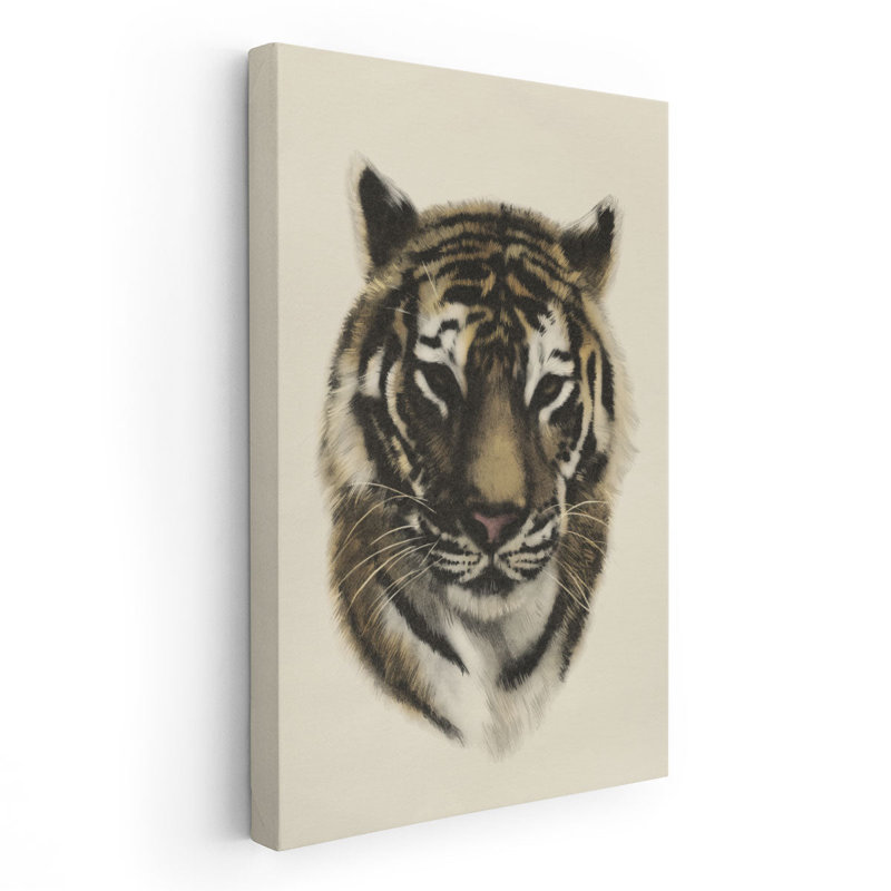 Antique Tiger Portrait I - reproduction d'art sur toile, H 36 po x l 24 po