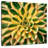 Harnek Striped Succulent-109205321