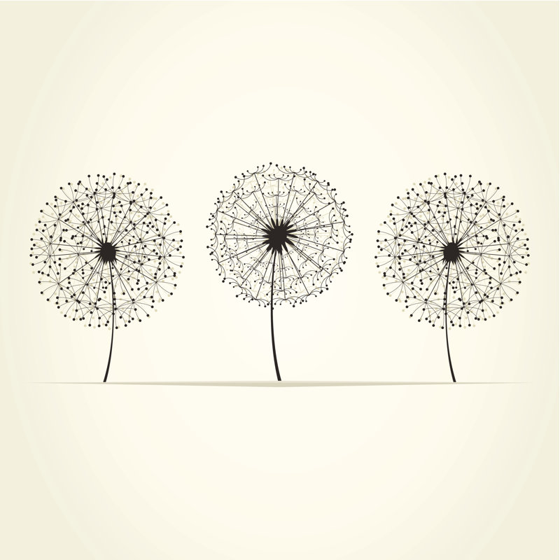 Three Dandelions by Aleksandr-Mansurov-Ru - Wrapped Canvas Print, 30cm H x 30cm W x 3.8cm D