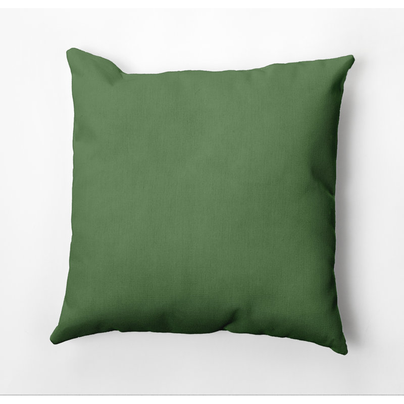 Asian Solid Decorative Outdoor Square Pillow Cover and Insert, 20"x20", Edamame
