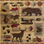 5 pi 3 po X 7 pi 3 po Tapis Lodge