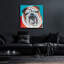 «Colorful Bulldog 2» par Carolee, art mural en verre acrylique Vitaletti-206160264