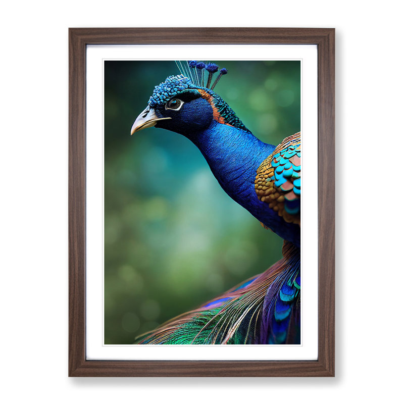 Captivating Peacock - Single Picture Frame Print, 46cm H x 34cm W x 2cm D, Brown Framed
