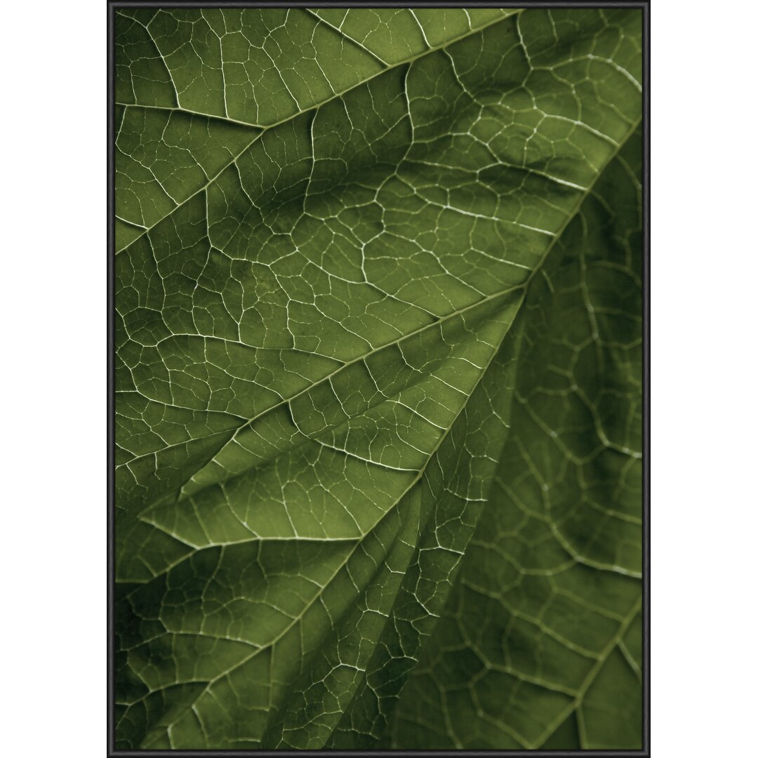 Gerahmtes Poster 17 Leaf Gold, Grafikdruck