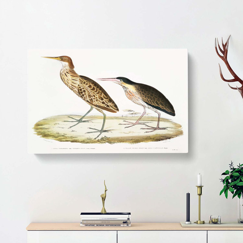 Two Herons by John Edward Gray - Wrapped Canvas, 40cm H x 60cm W x 3cm D
