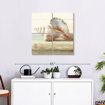 Aletra Driftwood Shell IV