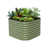 Olive Green selected