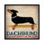 Dachshund Longboards by Ryan Fowler - Print on Canvas-653153067-653153047