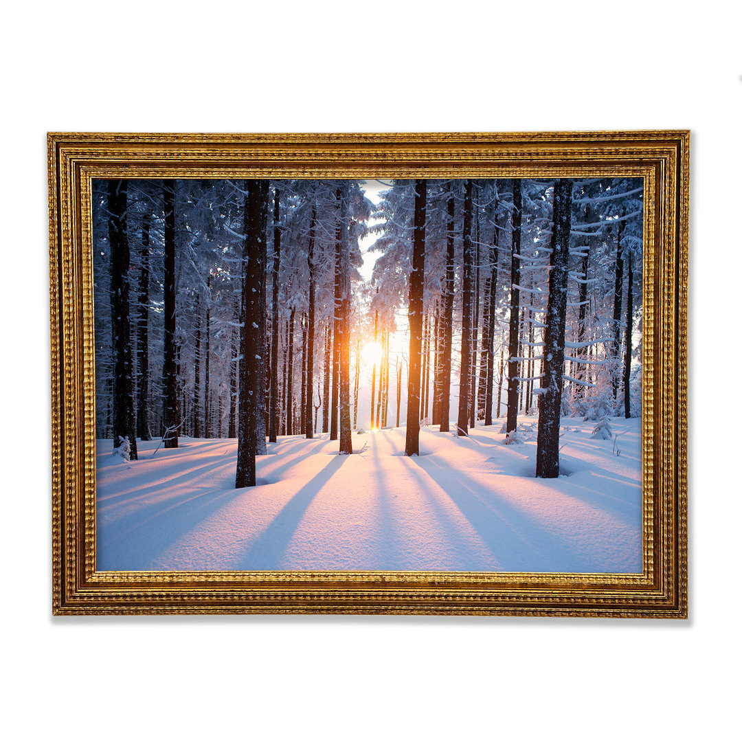 Sun Burst Snow Trees - Druck