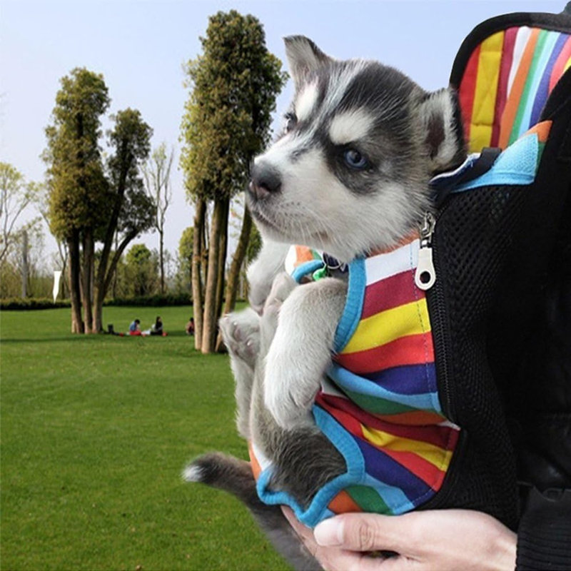 Sac de transport pour animal de compagnie