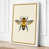 White Border