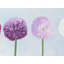 Napperon romantique romantique Dahlia