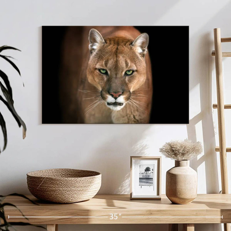 Brampt Fierce Puma, 8" H x 12" W
