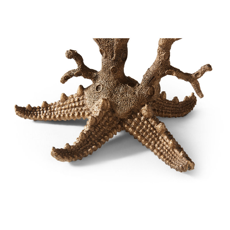 Renaissance Inspired Clamshell and Coral Brown End Table