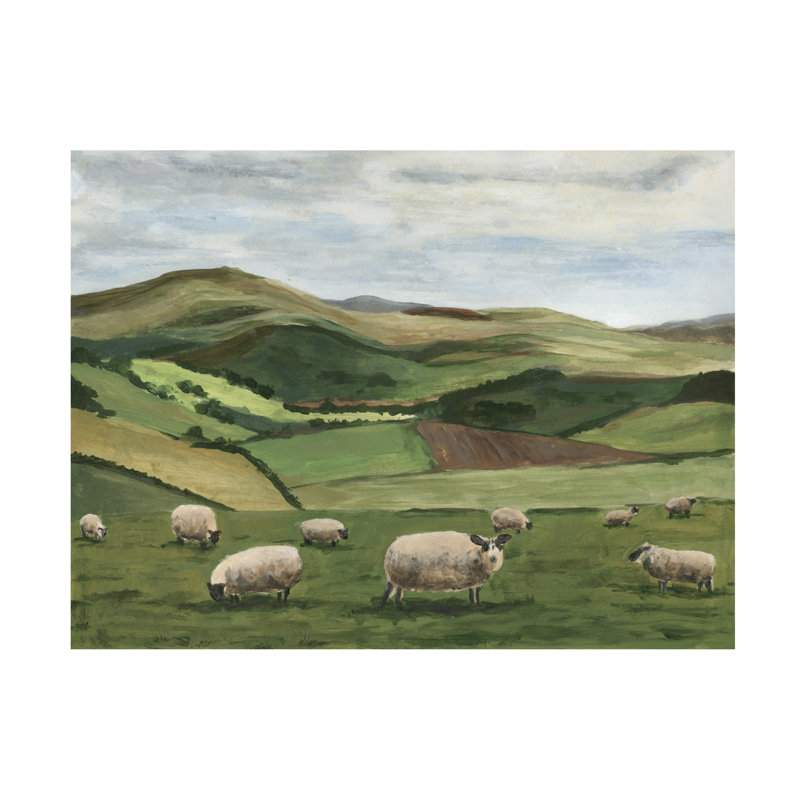 «Highland Sheep II» sur toile, H 35 po x l 35 po