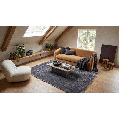 Tapis gris à poils longs Avants