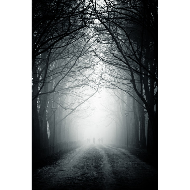 Country Road Tree Canopy In The Fog, Nobody by MoreISO - No Frame Art Prints on Canvas, 46cm H x 30cm W
