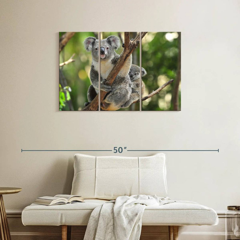 Brampt Australian Koala Bears, 24" H x 38" W