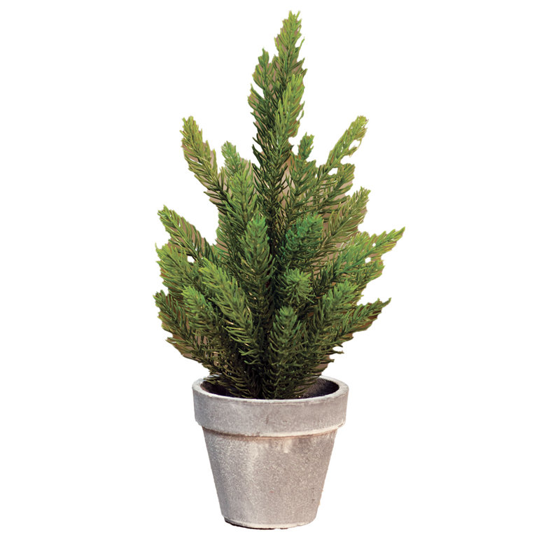 Arbre de Noël 12'