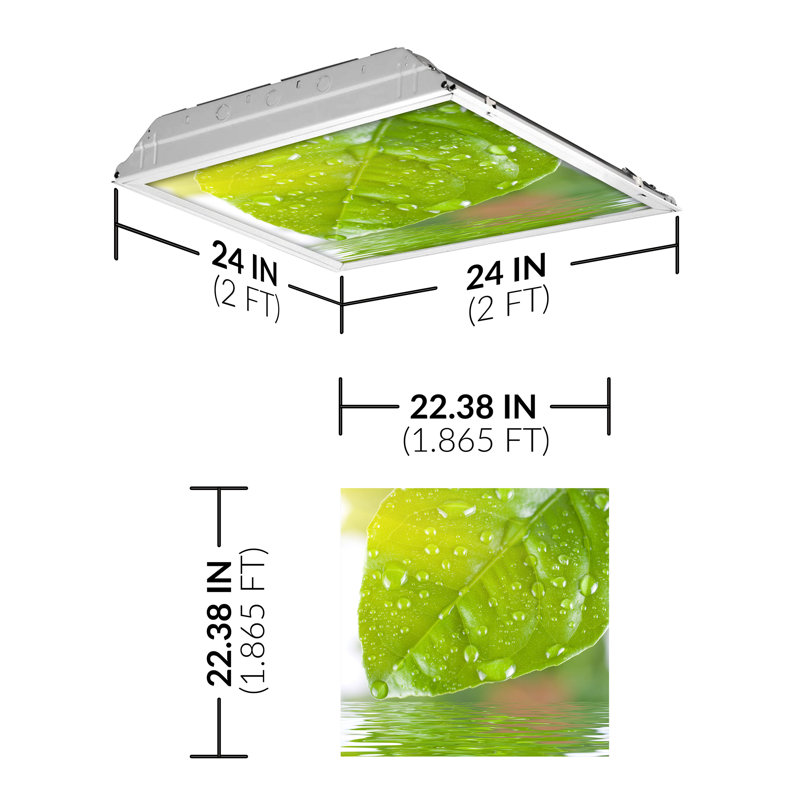 Tree Square Fixture Component Ceiling Light