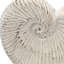 11.5X6.7X7.7" Sand And Cement Nautilus Shell Planter With Textured Beige Finish