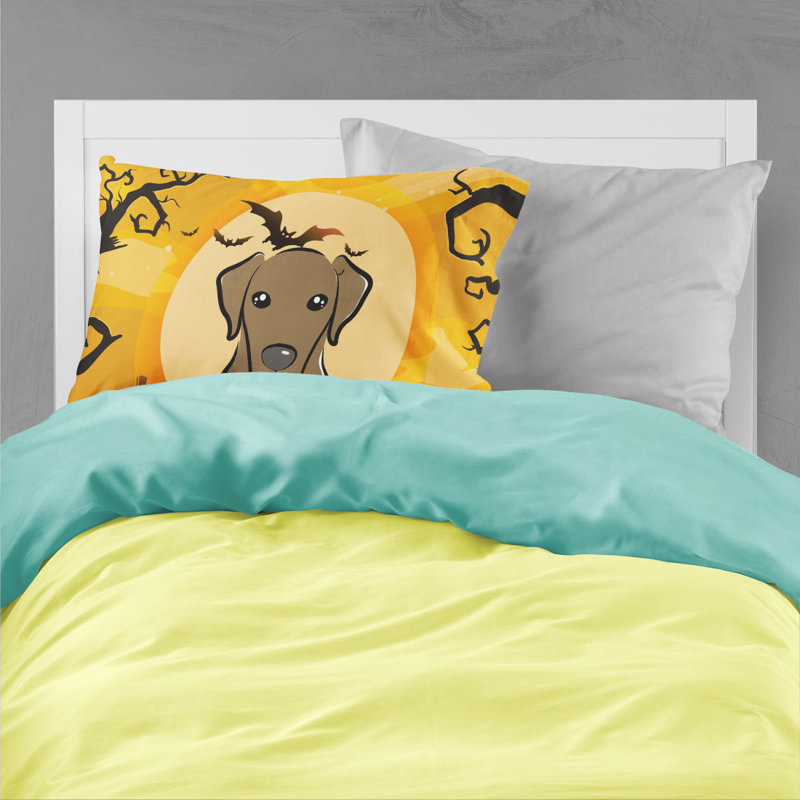 Microfiber, Chocolate Labrador