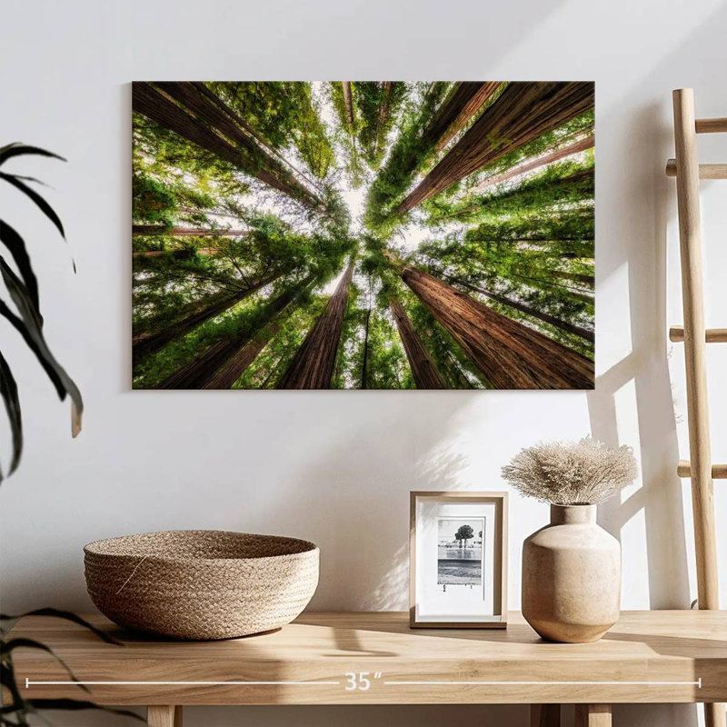 Harnek Jedediah Smith State Redwood Forest, 16" H x 24" W