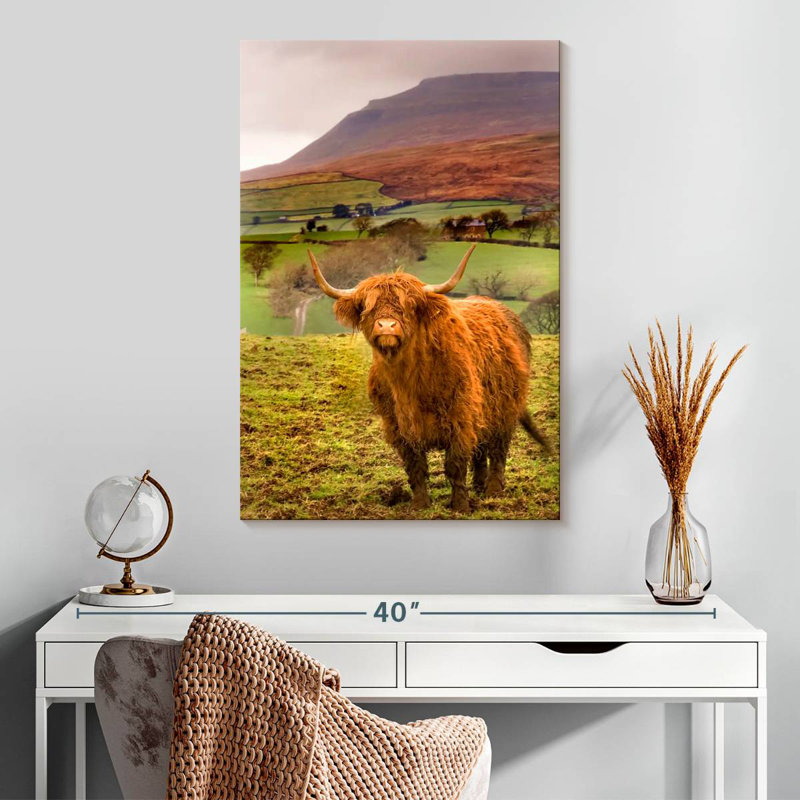 Brampt Bowland Highland Cow, H 30 po x l 20 po