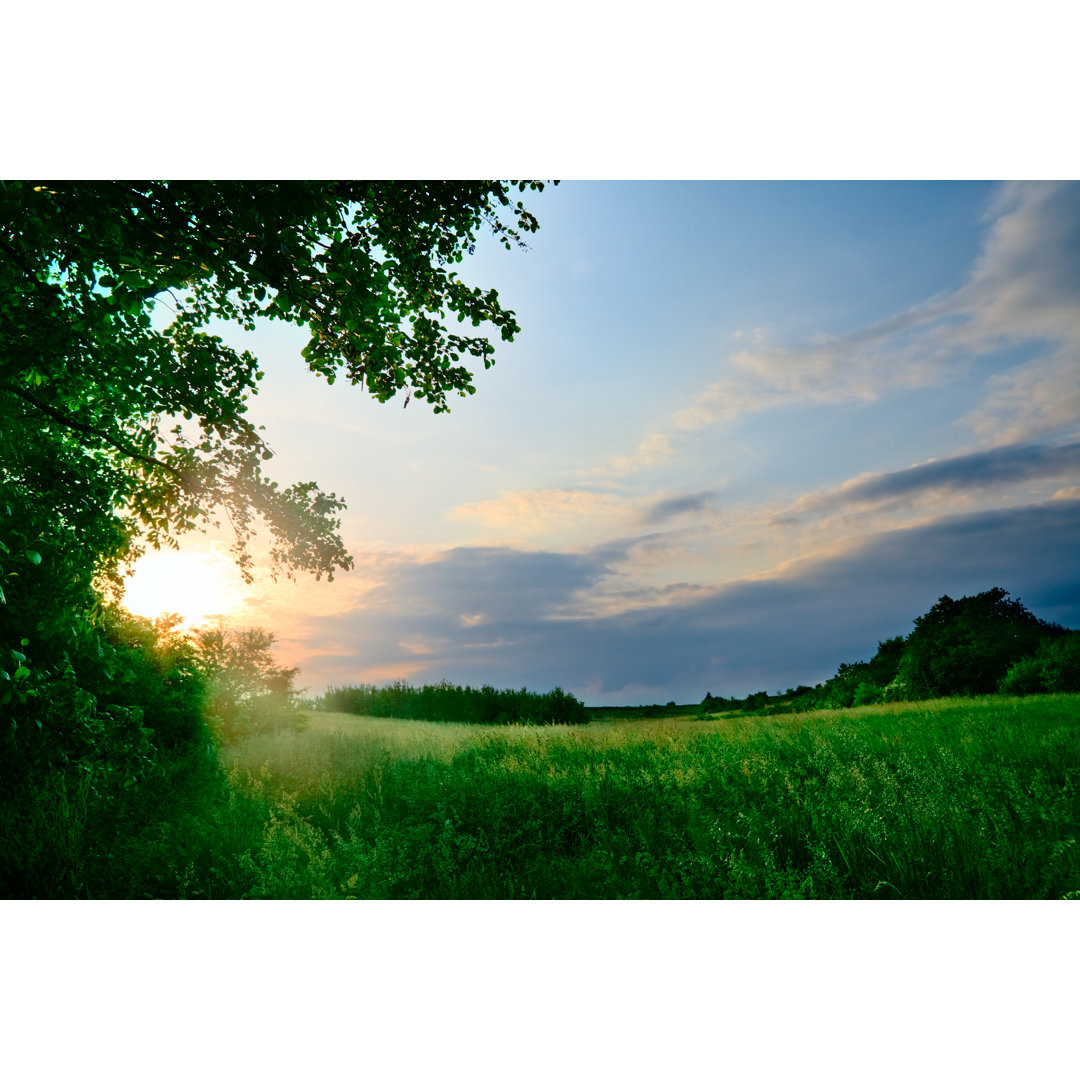 Sonnenuntergang auf der Wiese von Spooh - Kunstdrucke auf Leinwand ohne Rahmen