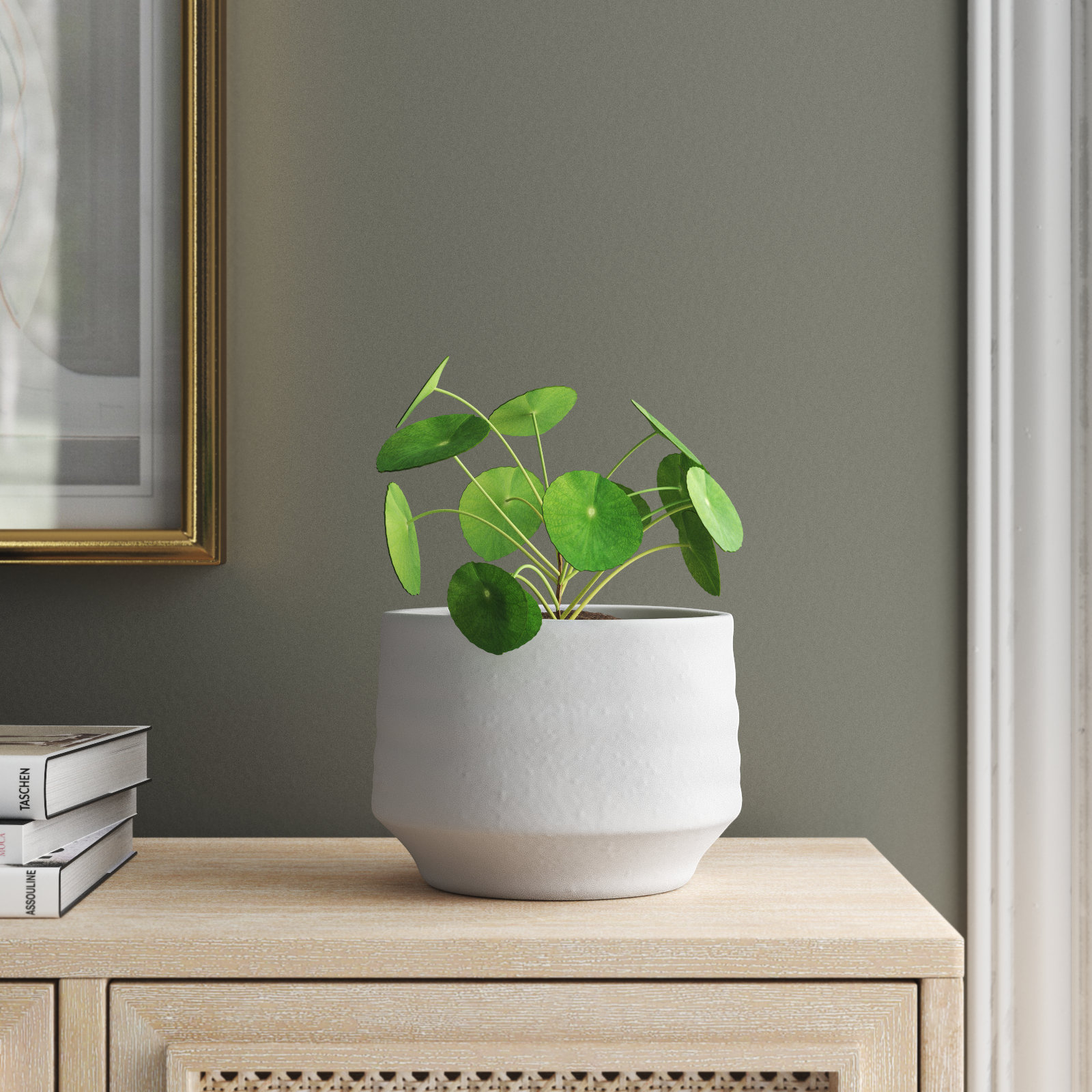 Canella Pot Planter, 6" H x 7.5" W x 7.5" D