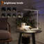 Hernandes Adjustable USB Desk Lamp
