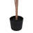 Potted Lilac - Medium-585175533