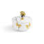Butterfly Ginkgo Large Container