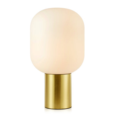 Oltorf Metal Novelty Lamp