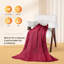 Couverture électrique surdimensionnée en flanelle HBT-116920955-63657081