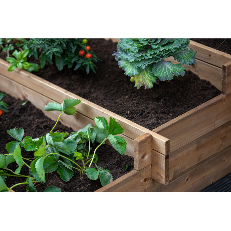 Telscombe Wood Planter Box