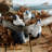 Hamblen Rabbit 16 Piece Figurine Set