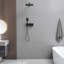 Robinet de douche avec valve brute-103056901