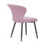 Chaise d'appoint Sophia (ensemble de 2)-1207342909