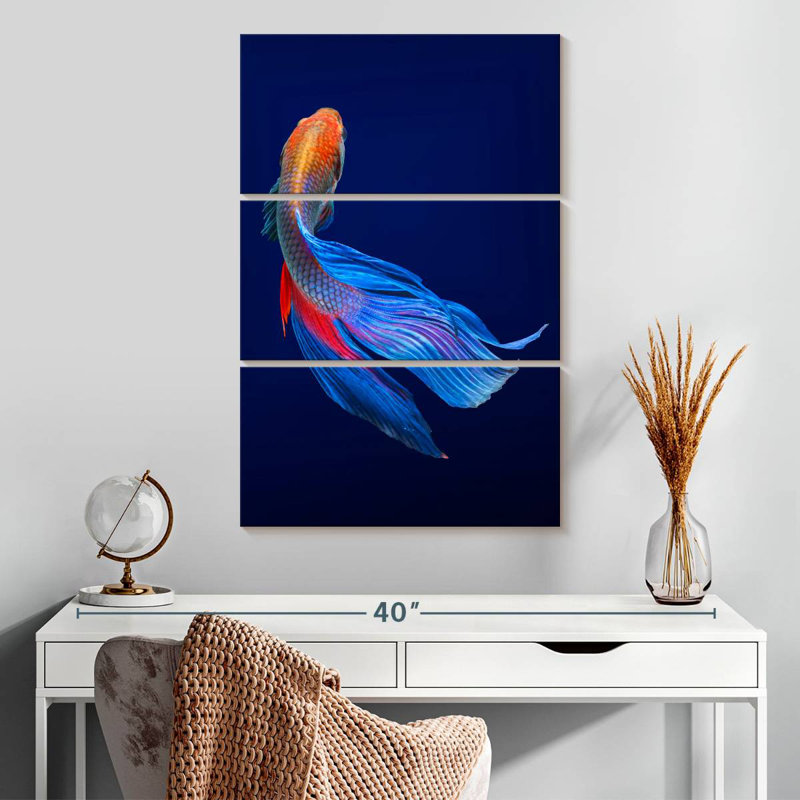 Poisson Betta Brampt, H 32 po x l 20 po