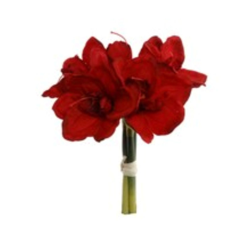 12.5" Amaryllis Bouquet - 3 Pack