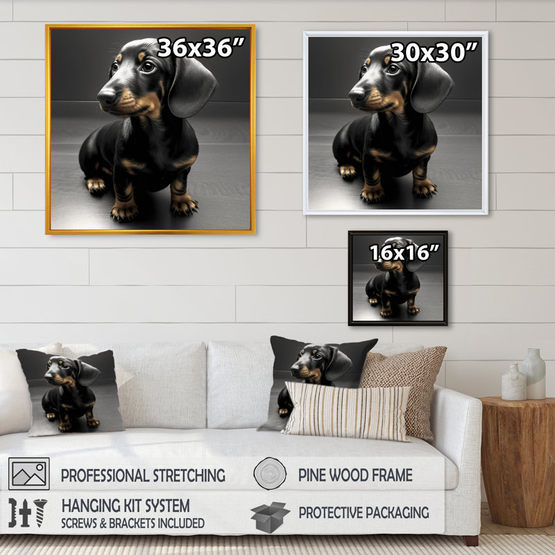 «Kanavel Portrait Of A Black Glam Dachshund», reproduction sur toile, L 36 po x H 36 po, Toile avec cadre flottant noir