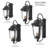 Aaryon Wall Light