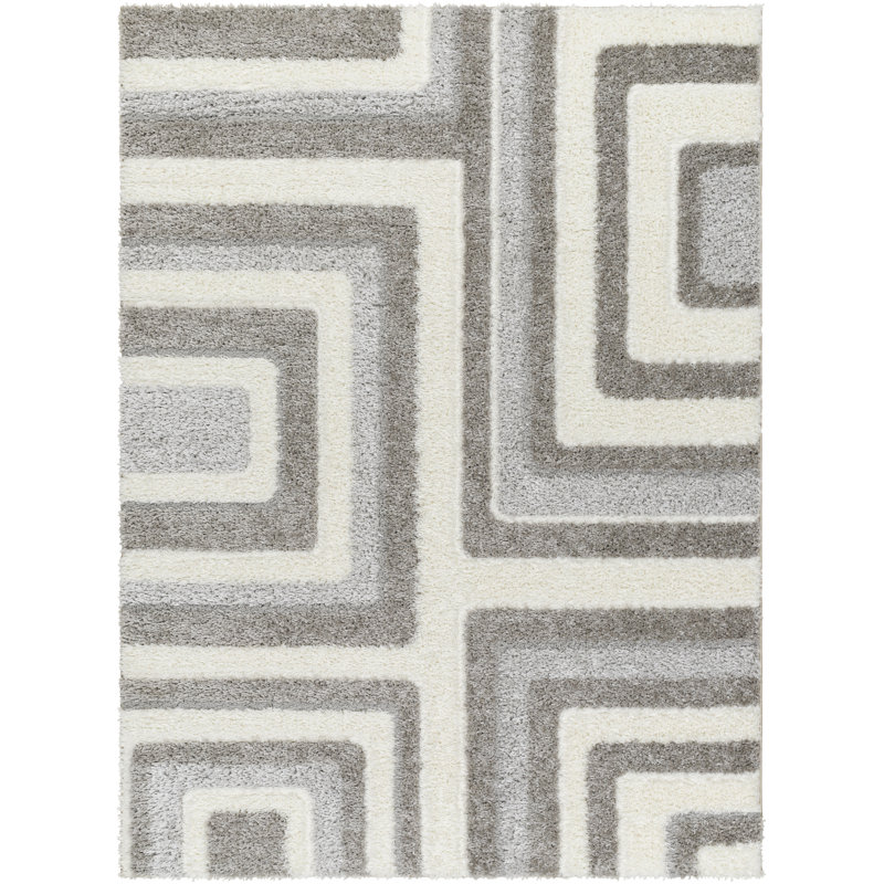 Tapis à poils longs Khlani Paolo, Rectangle 5 pi 3 po x 7 pi