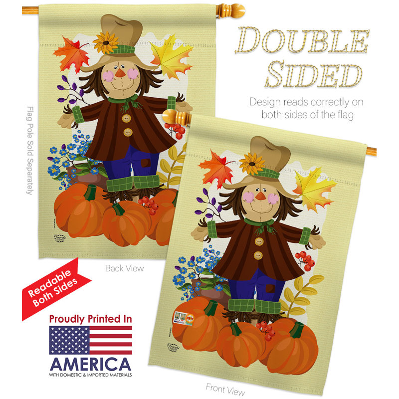 Double Sided 40'' H x 28'' W Polyester House Flag